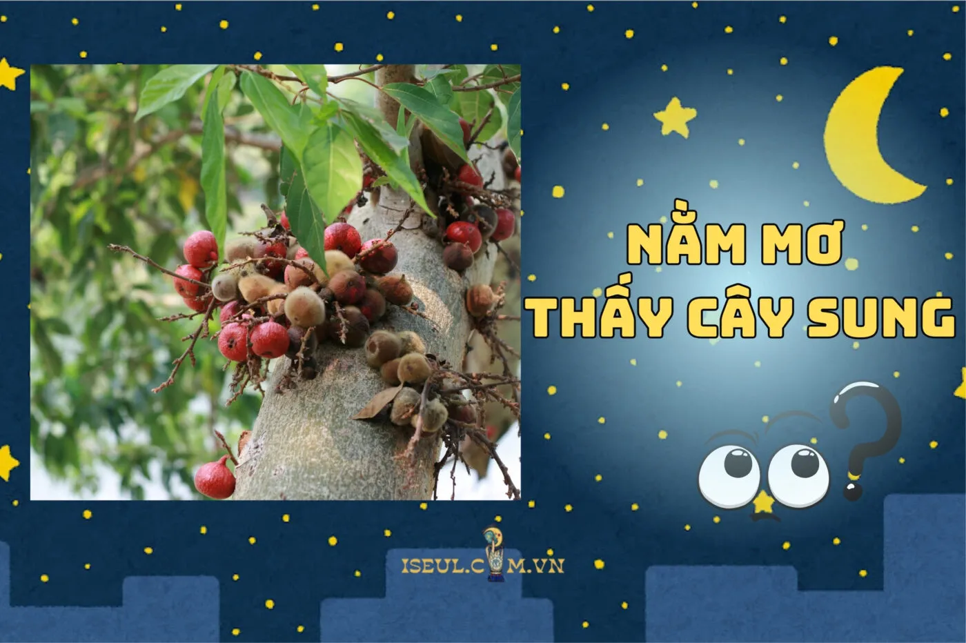 Nằm Mơ Thấy Cây Sung: Ý Nghĩa & Con Số May Mắn 2024